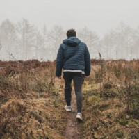 03a6f9c1973d0ff65ae758abc1ce93aa8020e1b60eda7513822e388cdf8e18c7