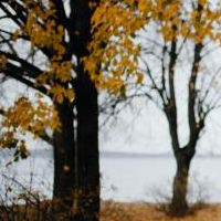 4f46f9d9407136c15c9d77971757b14ada14ae9abed2c35bd85a154c6fab0f75