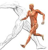 711dcd8cc6dad9a386410bcff69eb883546eea0178f9acc15c1f84bf43c13303