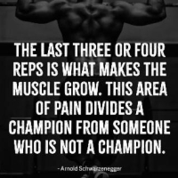 F32d22ff3a9d06127e23d355b1694296fec9561caec2793998e91d96d98690d0