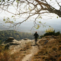 F707492777899d66184cdd17a189f22a23ad9b84f7d17b18d30a1781d9c6187e