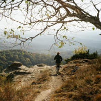 Fbe16de856e99038896a93c2ad01932204667b7b491b76bf3b24b1bed7275127